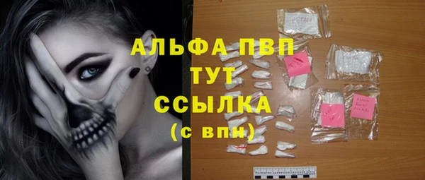 первитин Богданович
