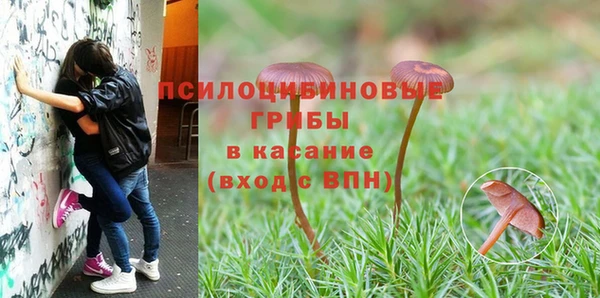 мет Богородицк
