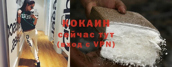 первитин Богданович