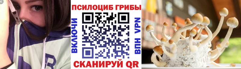 Псилоцибиновые грибы Psilocybe  закладка  Сычёвка 